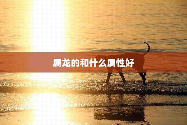 属龙的和什么属性好