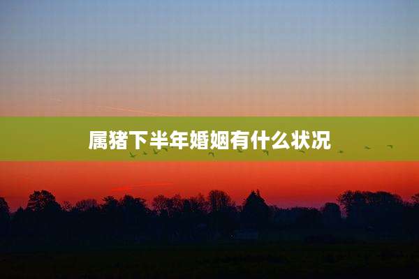 属猪下半年婚姻有什么状况