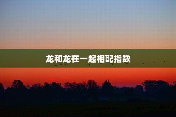 龙和龙在一起相配指数