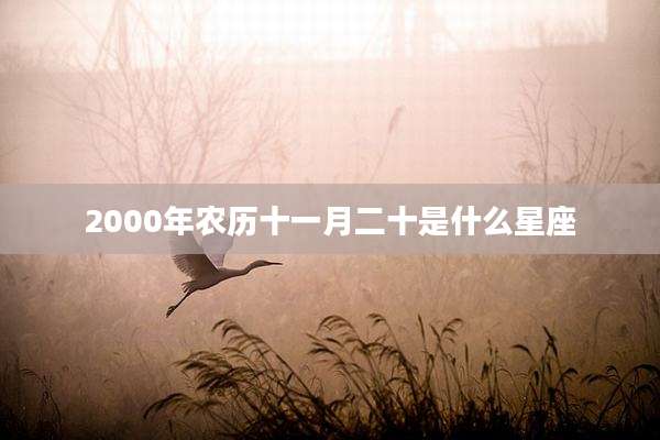 2000年农历十一月二十是什么星座