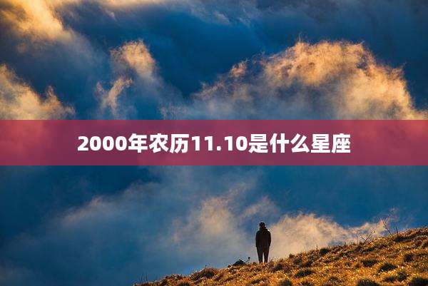2000年农历11.10是什么星座
