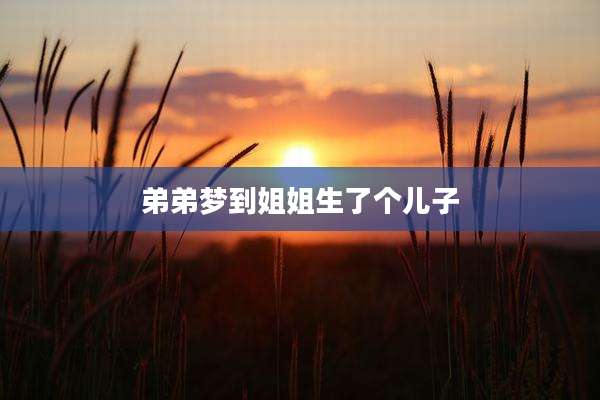 弟弟梦到姐姐生了个儿子