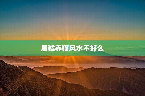 属猴养猫风水不好么