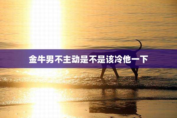 金牛男不主动是不是该冷他一下