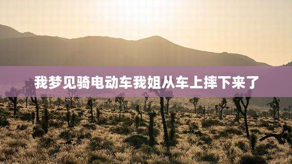 我梦见骑电动车我姐从车上摔下来了