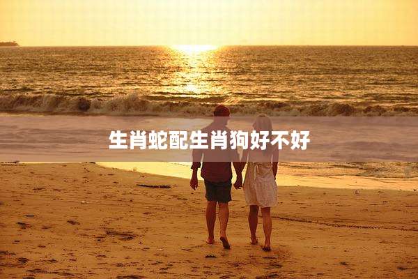 生肖蛇配生肖狗好不好