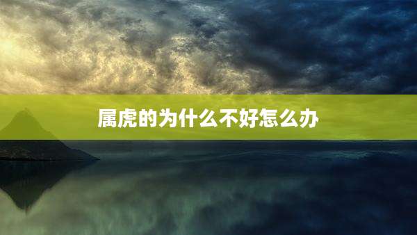 属虎的为什么不好怎么办