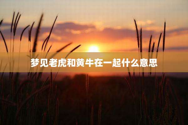 梦见老虎和黄牛在一起什么意思