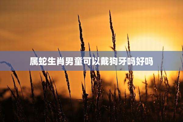 属蛇生肖男童可以戴狗牙吗好吗