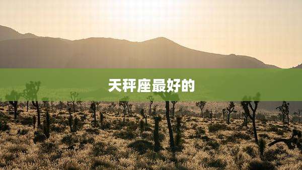 天秤座最好的