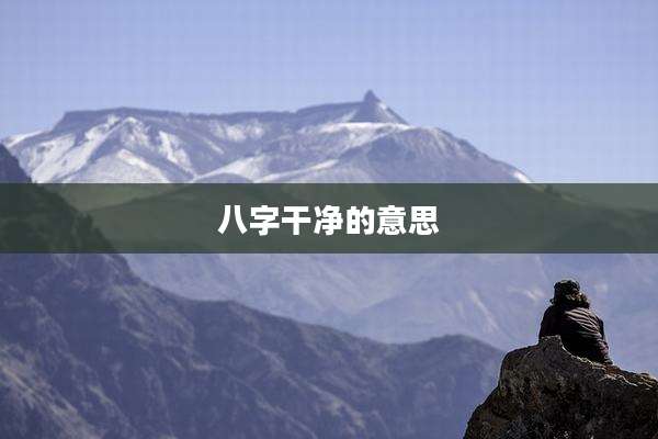 八字干净的意思