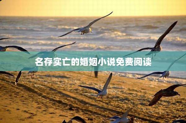 名存实亡的婚姻小说免费阅读