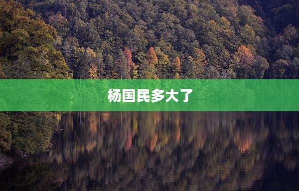 杨国民多大了