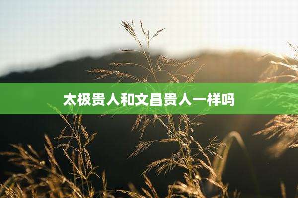 太极贵人和文昌贵人一样吗
