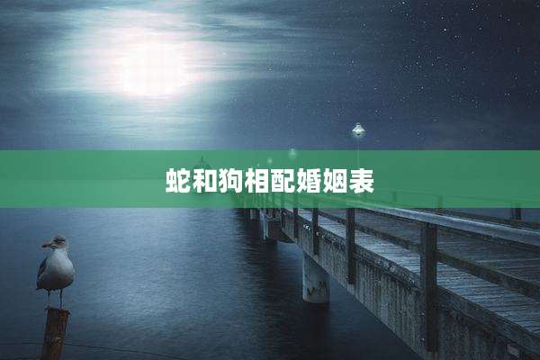 蛇和狗相配婚姻表