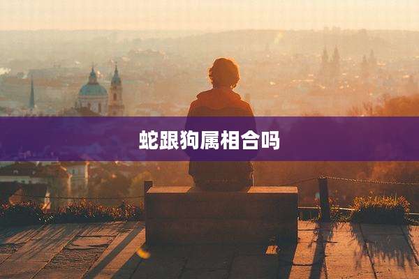 蛇跟狗属相合吗