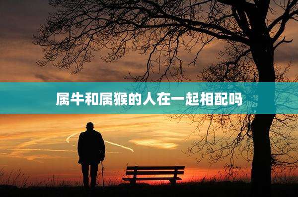 属牛和属猴的人在一起相配吗