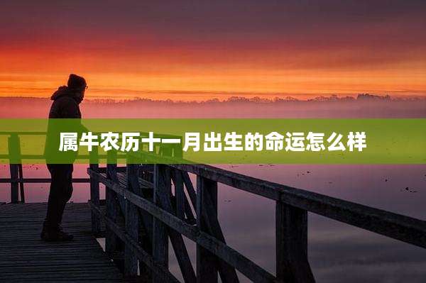 属牛农历十一月出生的命运怎么样