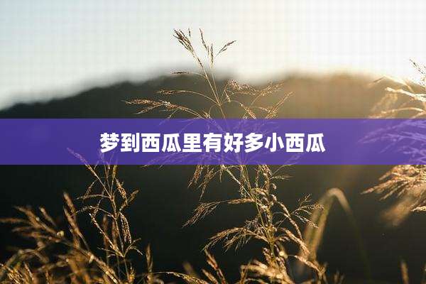 梦到西瓜里有好多小西瓜