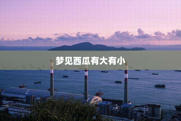 梦见西瓜有大有小