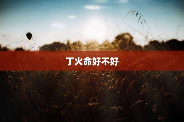 丁火命好不好