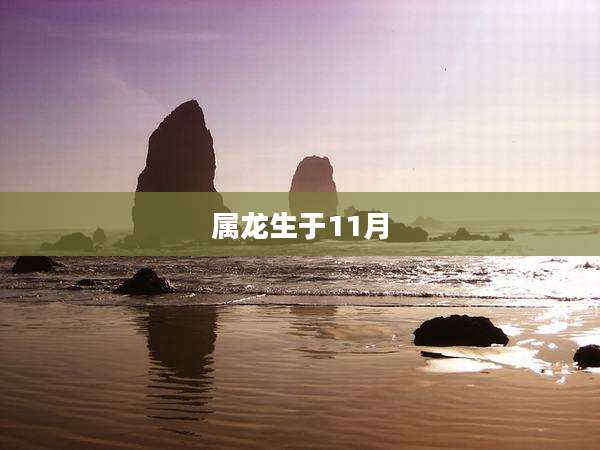 属龙生于11月