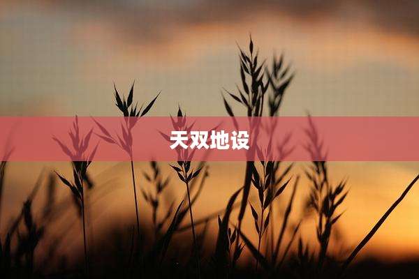天双地设