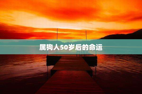 属狗人50岁后的命运