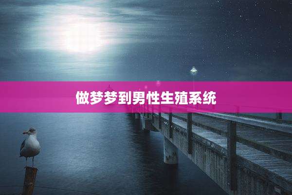 做梦梦到男性生殖系统