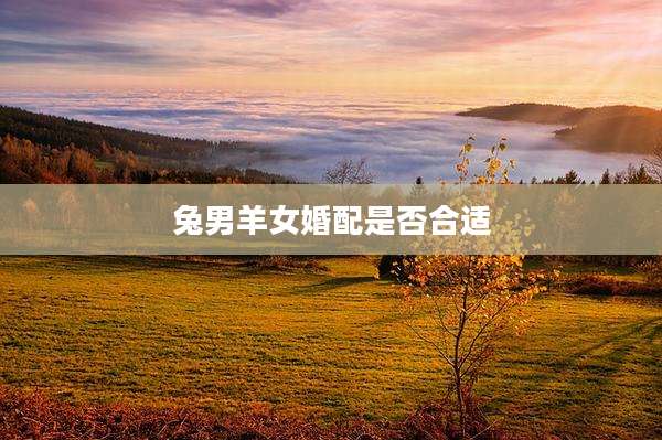 兔男羊女婚配是否合适