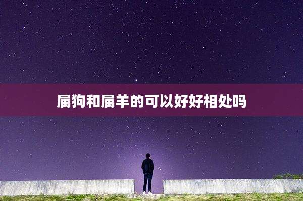属狗和属羊的可以好好相处吗