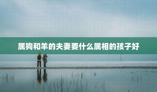 属狗和羊的夫妻要什么属相的孩子好