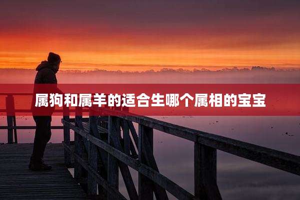 属狗和属羊的适合生哪个属相的宝宝