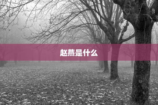 赵燕是什么