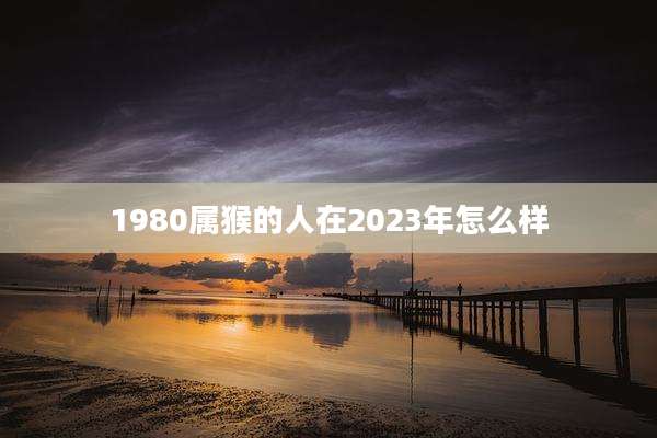 1980属猴的人在2023年怎么样