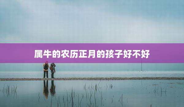 属牛的农历正月的孩子好不好