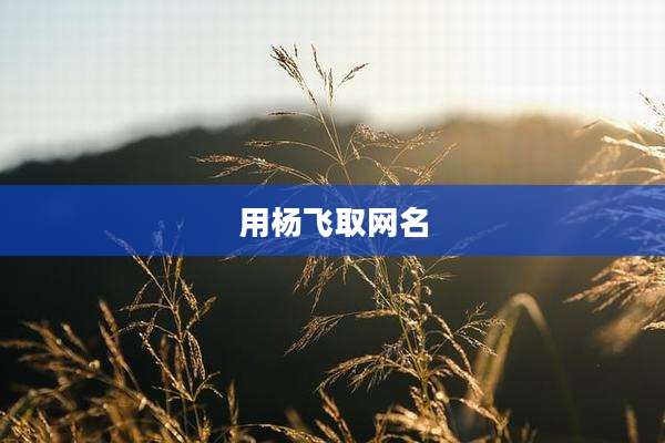 用杨飞取网名