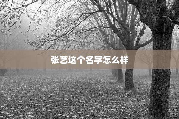 张艺这个名字怎么样