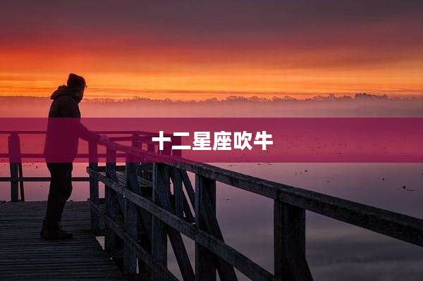 十二星座吹牛
