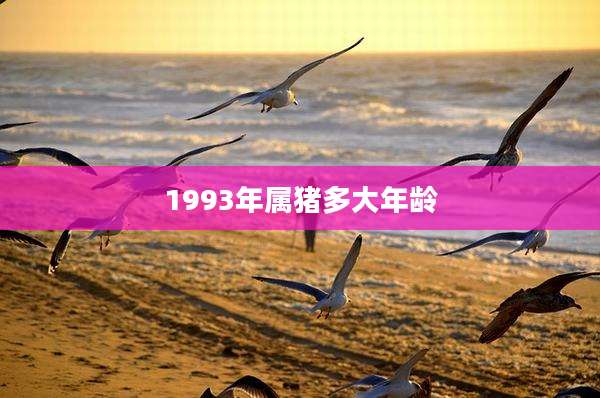 1993年属猪多大年龄