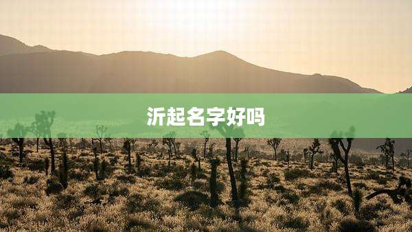 沂起名字好吗