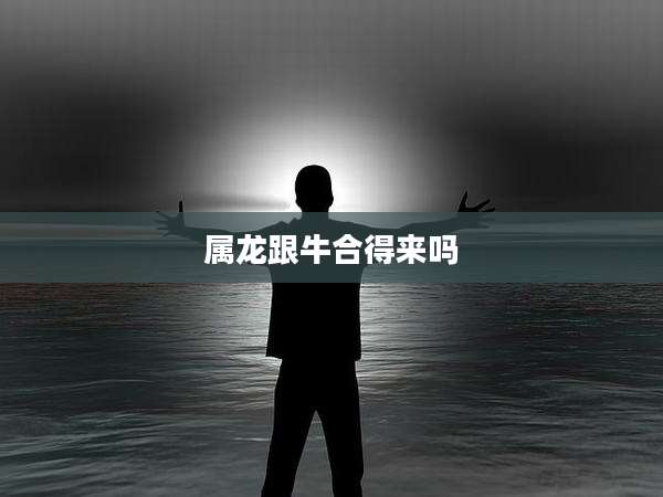 属龙跟牛合得来吗