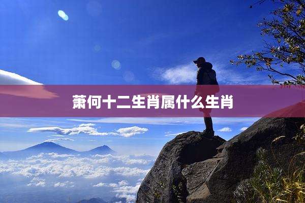 萧何十二生肖属什么生肖