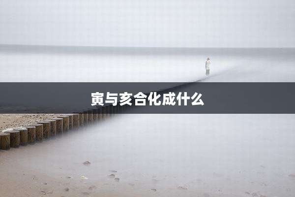 寅与亥合化成什么
