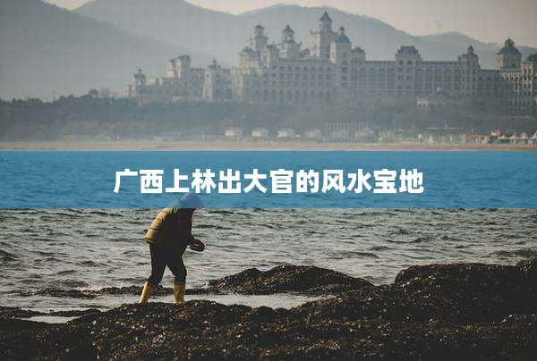 广西上林出大官的风水宝地