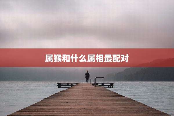 属猴和什么属相最配对