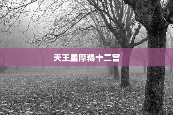 天王星摩羯十二宫