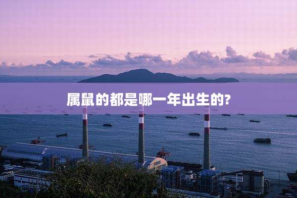 属鼠的都是哪一年出生的?
