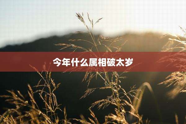 今年什么属相破太岁