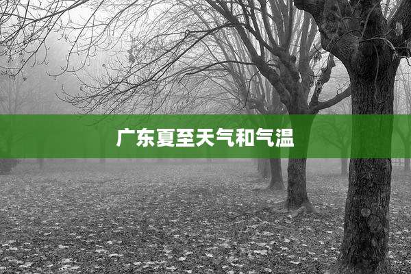 广东夏至天气和气温
